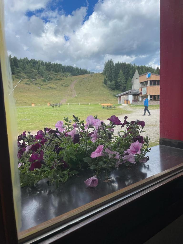 Chalet Scoiattolo Residence Sussy Falcade Eksteriør bilde